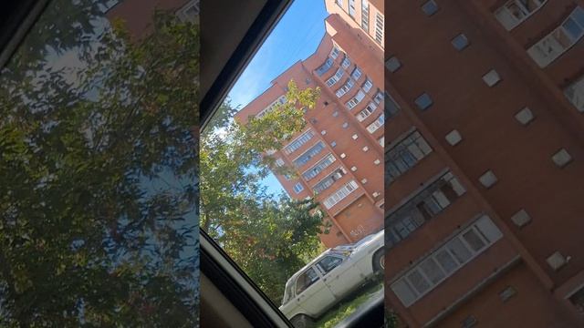 девчёнка в 11 
          или
    сплошные  
неожиданности
1 сезон 9 серия