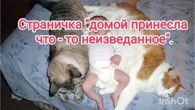 Страничка 