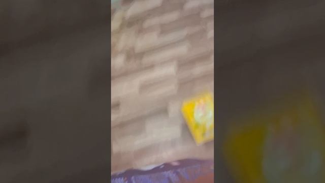 девчёнка в 11 
         или
    сплошные 
неожиданности
1 сезон 8 серия