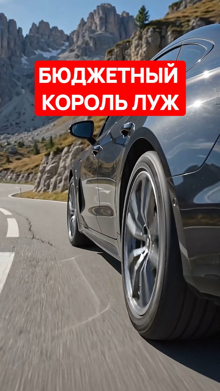 БЮДЖЕТНЫЙ КОРОЛЬ ЛУЖ