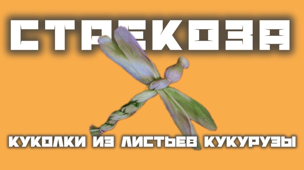 Куколки из ПОЧАТКА | Стрекоза Выпуск 5