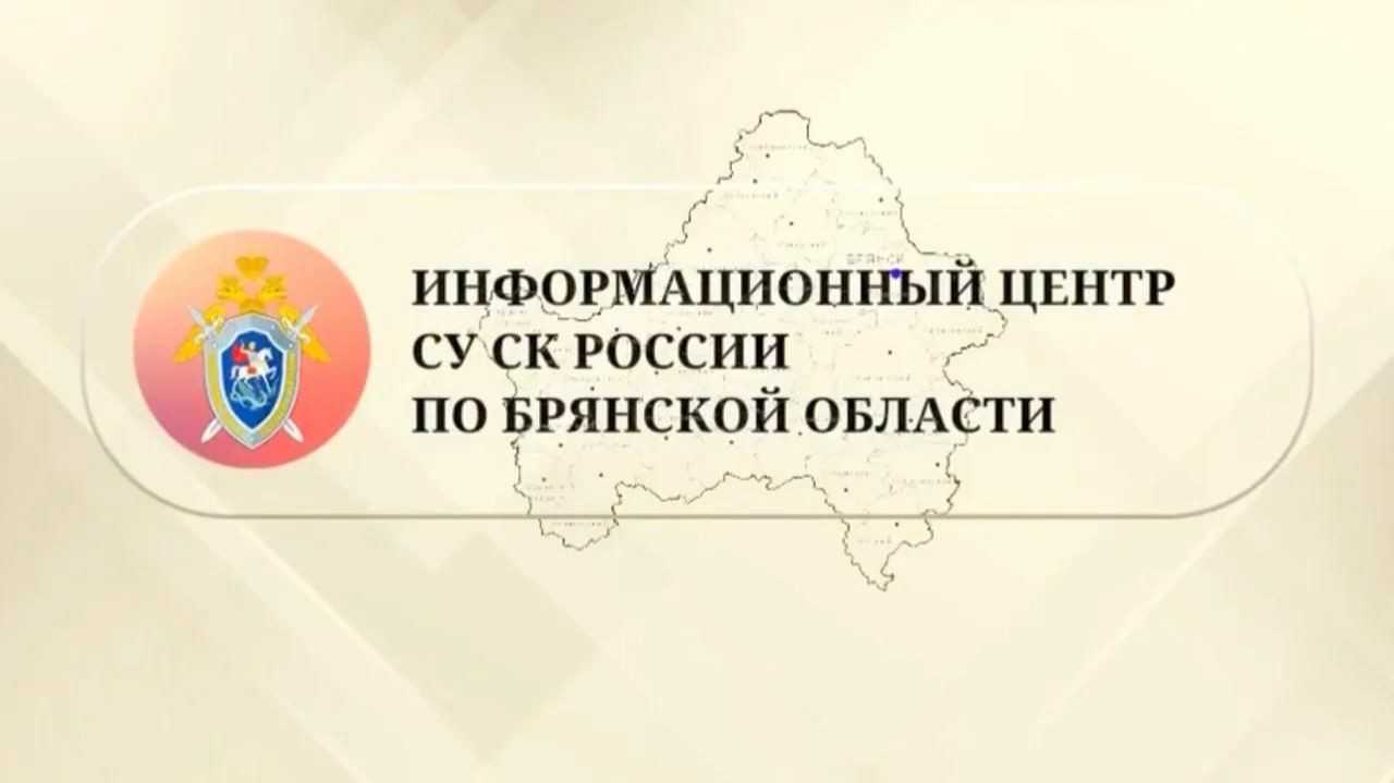 Председатель «Союз ветеранов следственных органов» Брянской области Г.С. Зингер провел онлайн-прием