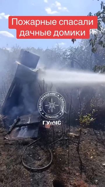 Спасено несколько дачных домиков