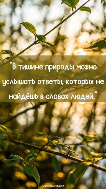 Цитаты жизни!