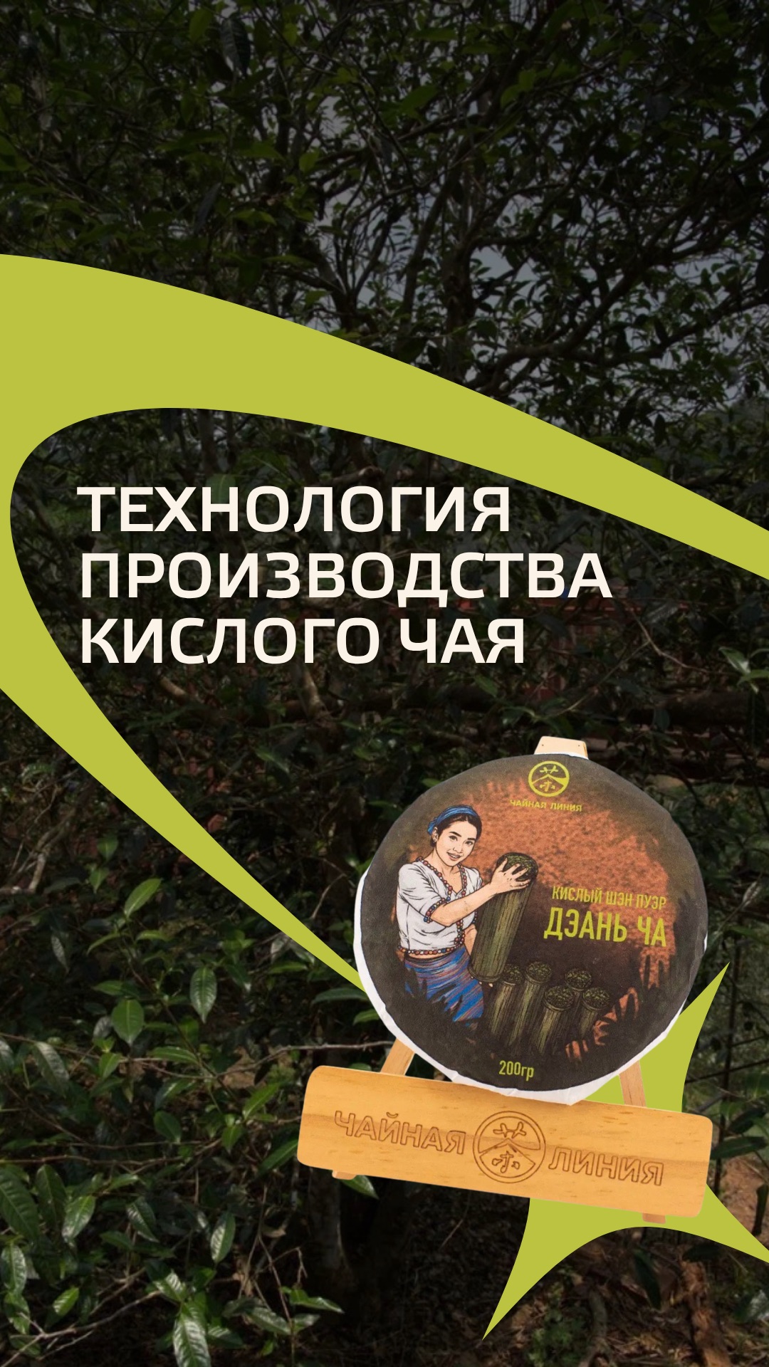 Как делают кислый чай?