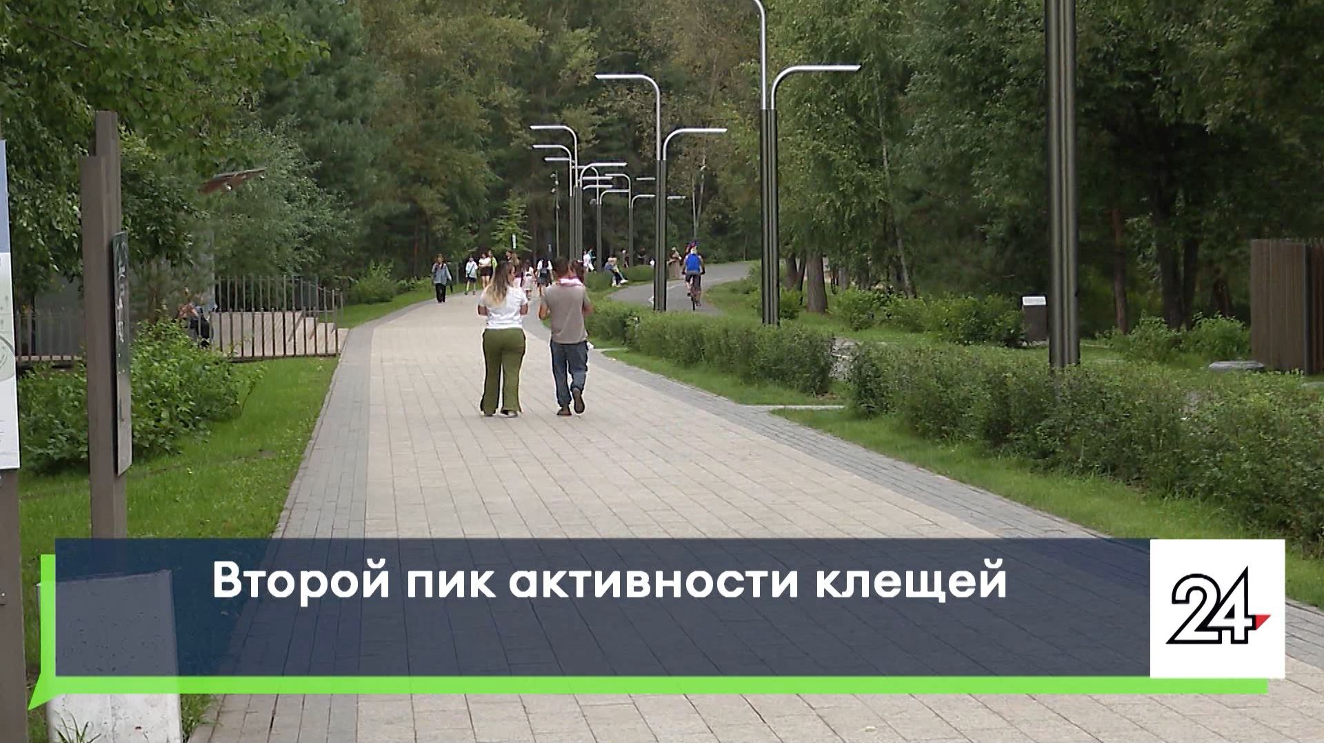 Второй пик активности клещей