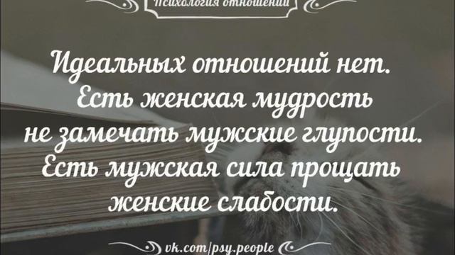Записки на манжете
