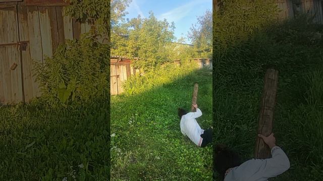 Объёмная Треня с БревномСр.тяжТемп умеренный нагрузка лайт.