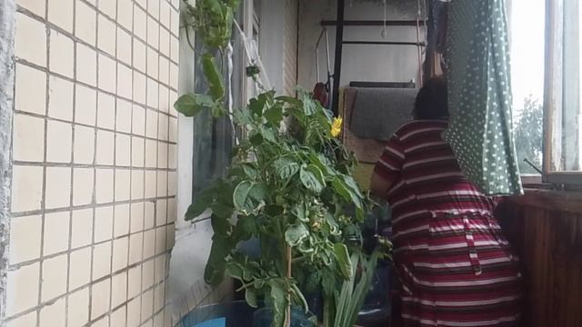 Дома по хозяйству.