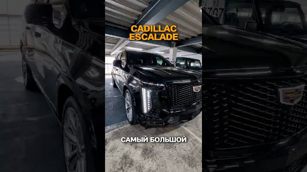 Самый большой внедорожник? Cadillac Escalade автоподбор автоизкореи Cadillac Escalade