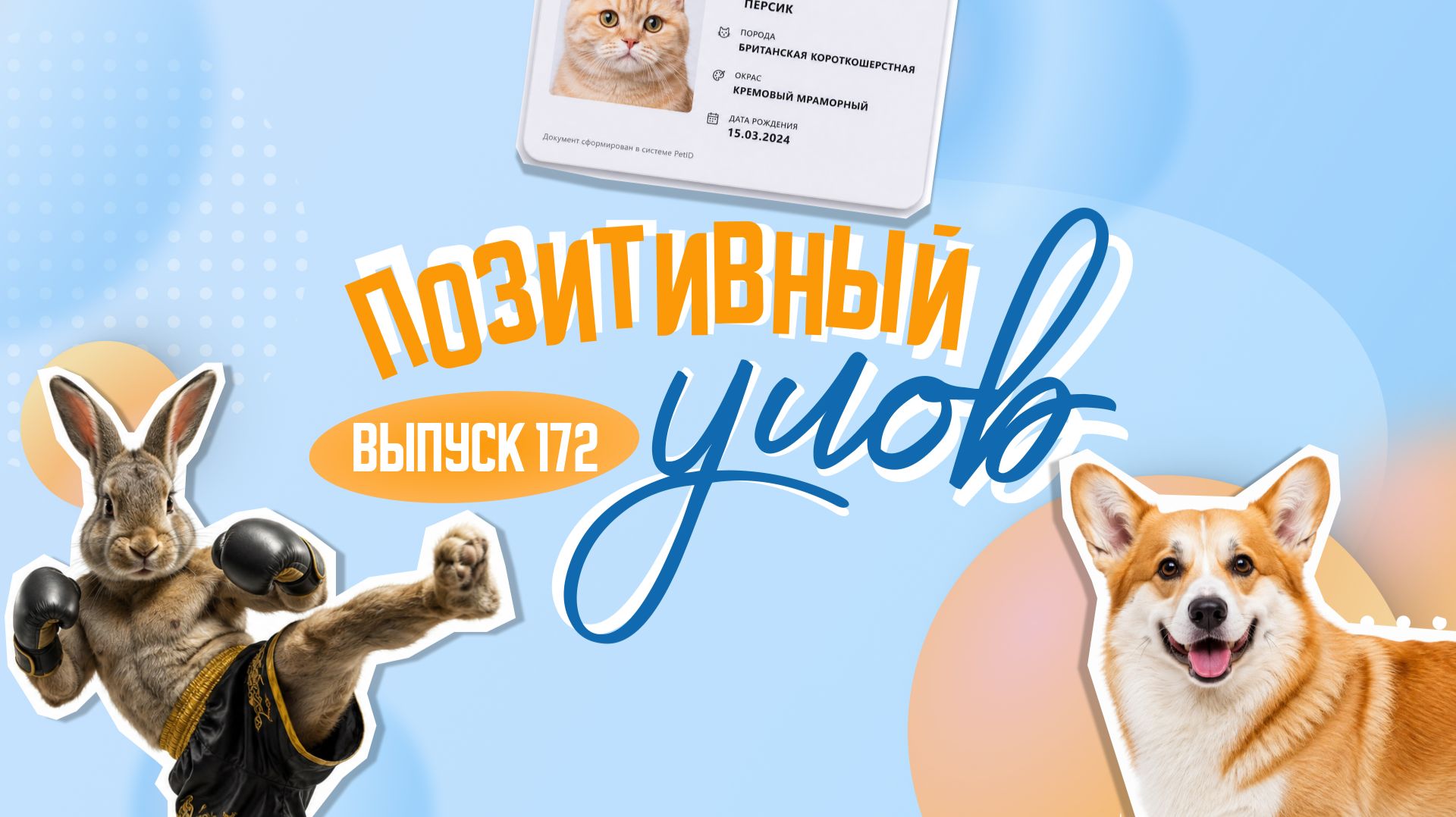 Небесный шедевр и новый тренд. Позитивный улов