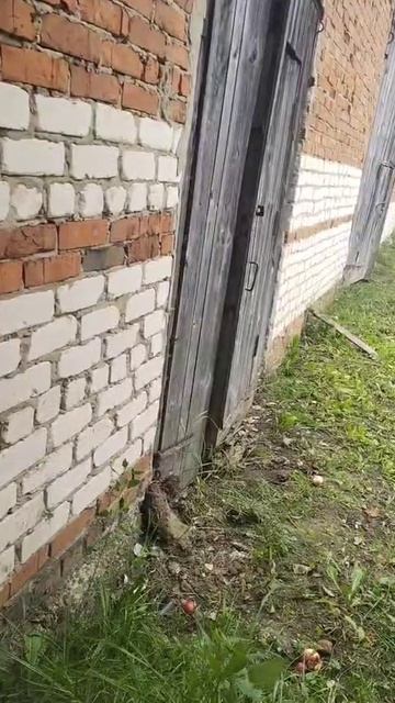 скопление бытовых отходов