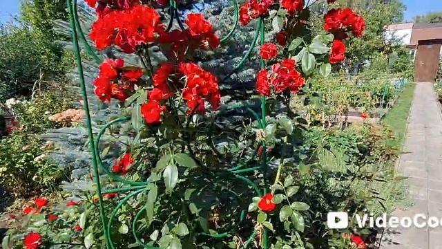 Влог361 Сохраняем выращенный урожай Сушу овощи ругаюсь на брата..