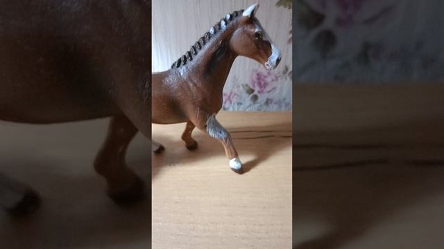 рассказываю о себе