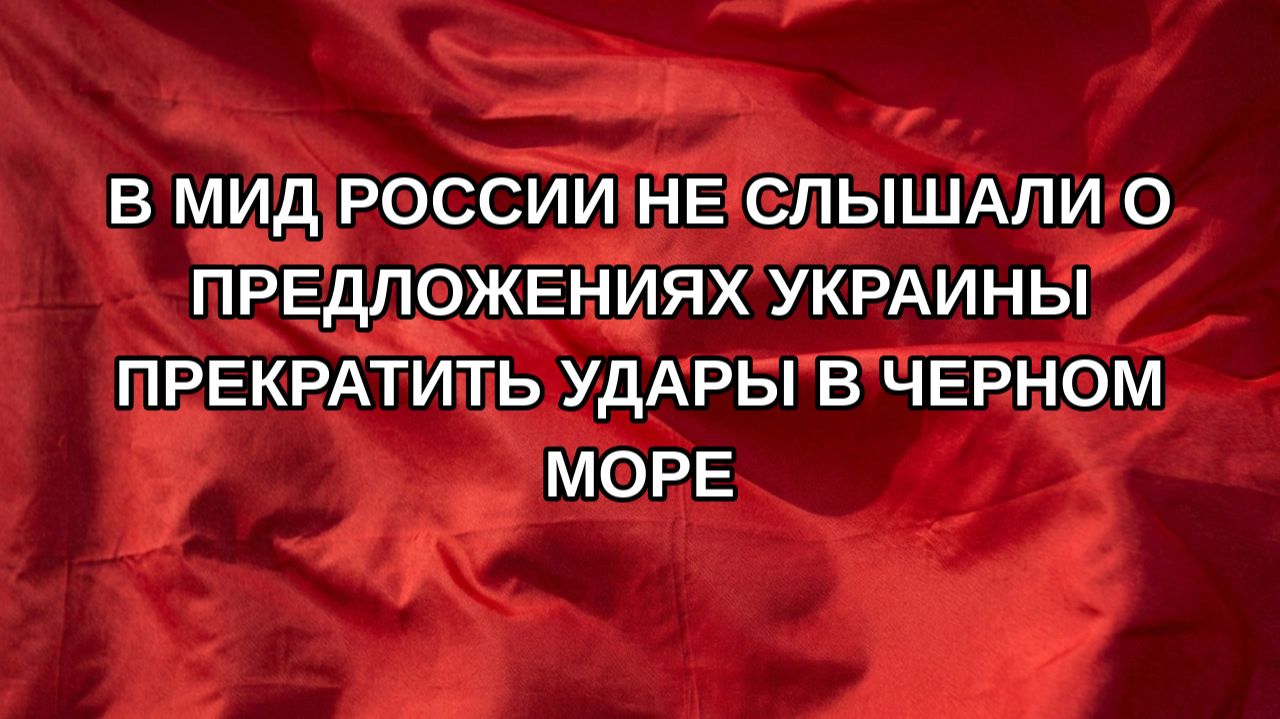 В МИД России не слышали о предложениях Украины прекратить удары в Черном море