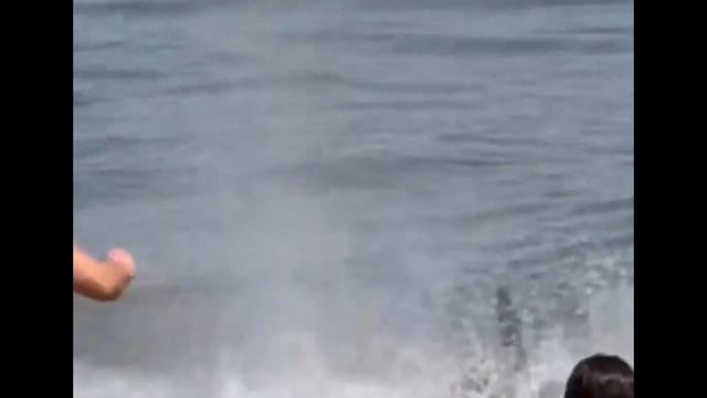Гигантский тунец напугал отдыхающих на пляже в Испании
