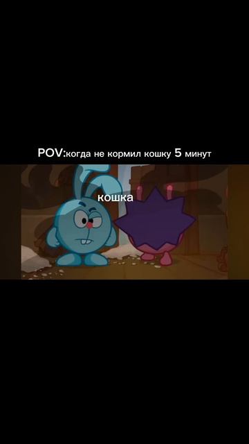 НЕ КОРМИЛ КОШКУ 5 МИНУТ