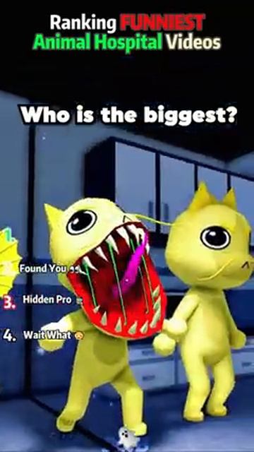 Ranking The FUNNIEST Animal Hospital Videos.. 