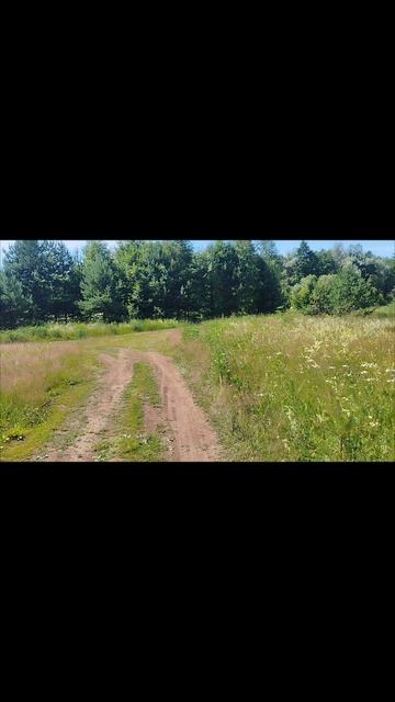 ищу подход к реке