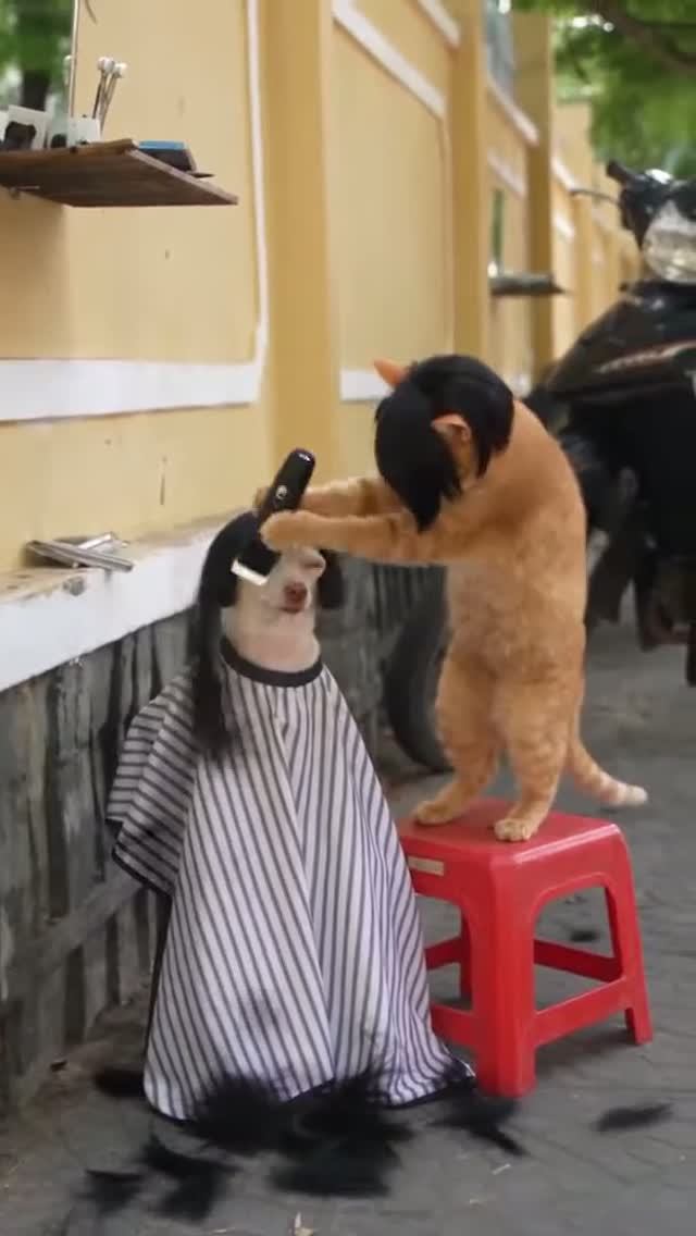 Уличный Цирюльник