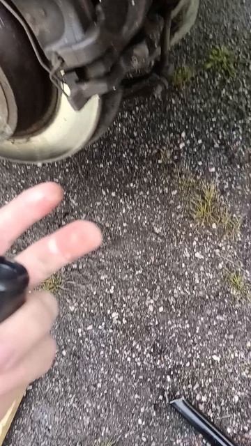 1000001894.mp4