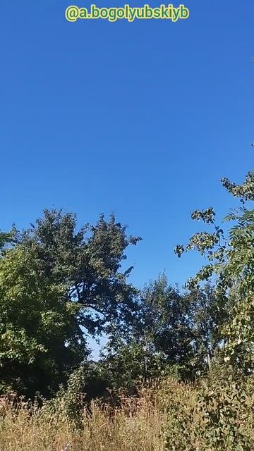 На окраине города Курска