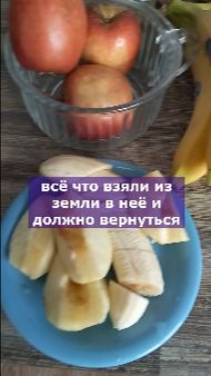 Лайфхак Подкормка для балконных растений