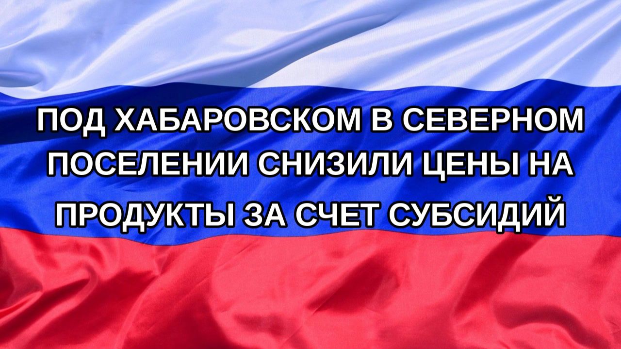 Н. РФ Под Хабаровском в северном поселении снизили цены на продукты за счет субсидий