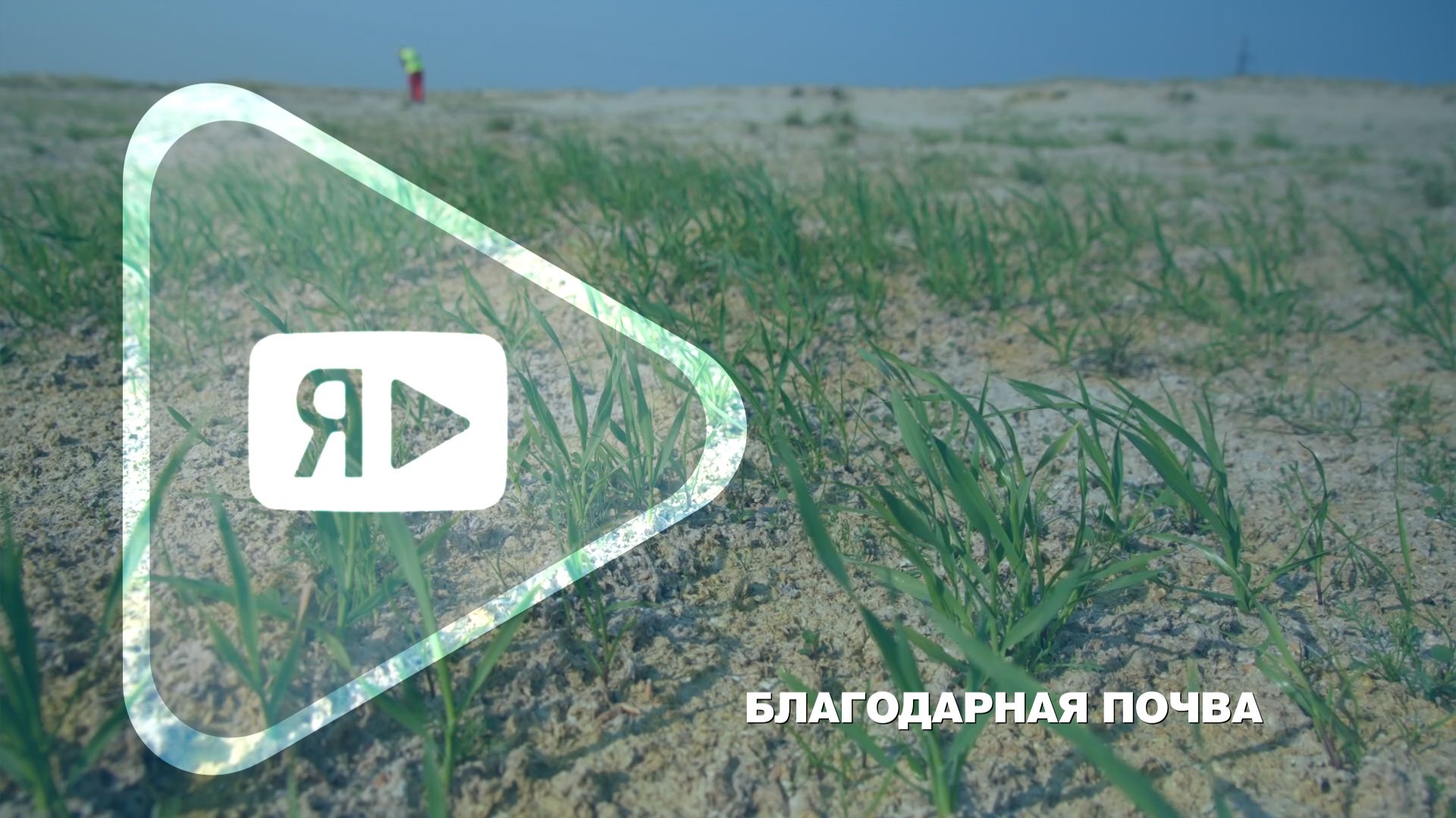 БЛАГОДАРНАЯ ПОЧВА  В Надымском районе опробовали отечественную биотехнологию по рекультивации