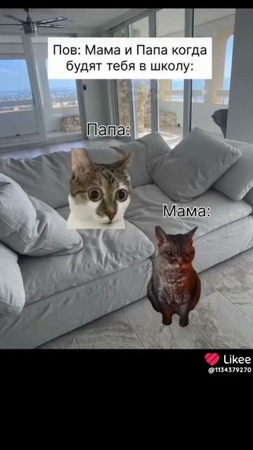 Марк :