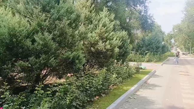 16610170331107Видео от Юрия Музыки26.08.26 гБелгород