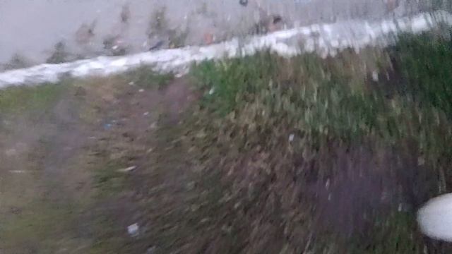 1000000420.mp4