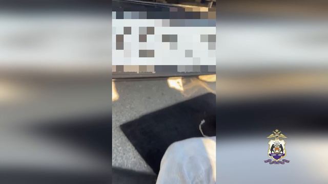 На трассе под Великим Новгородом полиция пресекла транзит 3 кг наркотика в Подмосковье
