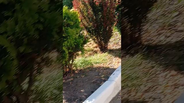 здеся света в Ейске храм святого Луки 