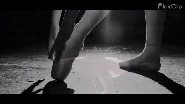 多莫杰多沃的ZAKIRYCH翻译公司提供公证服务