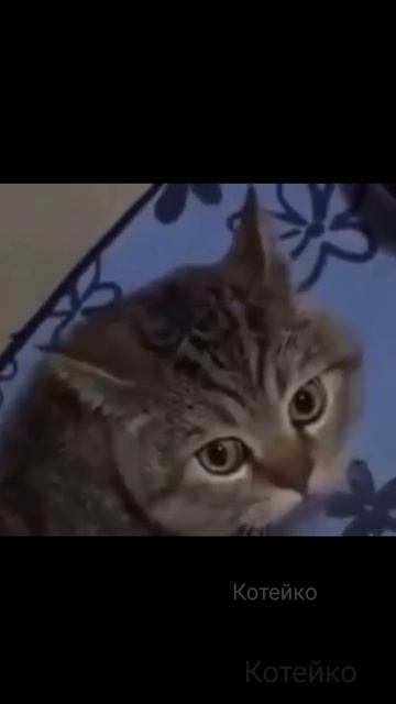 Теперь всё понятно! 