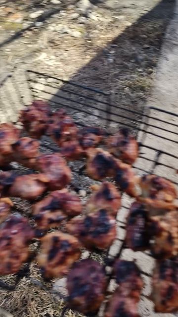 Сочный шашлык 