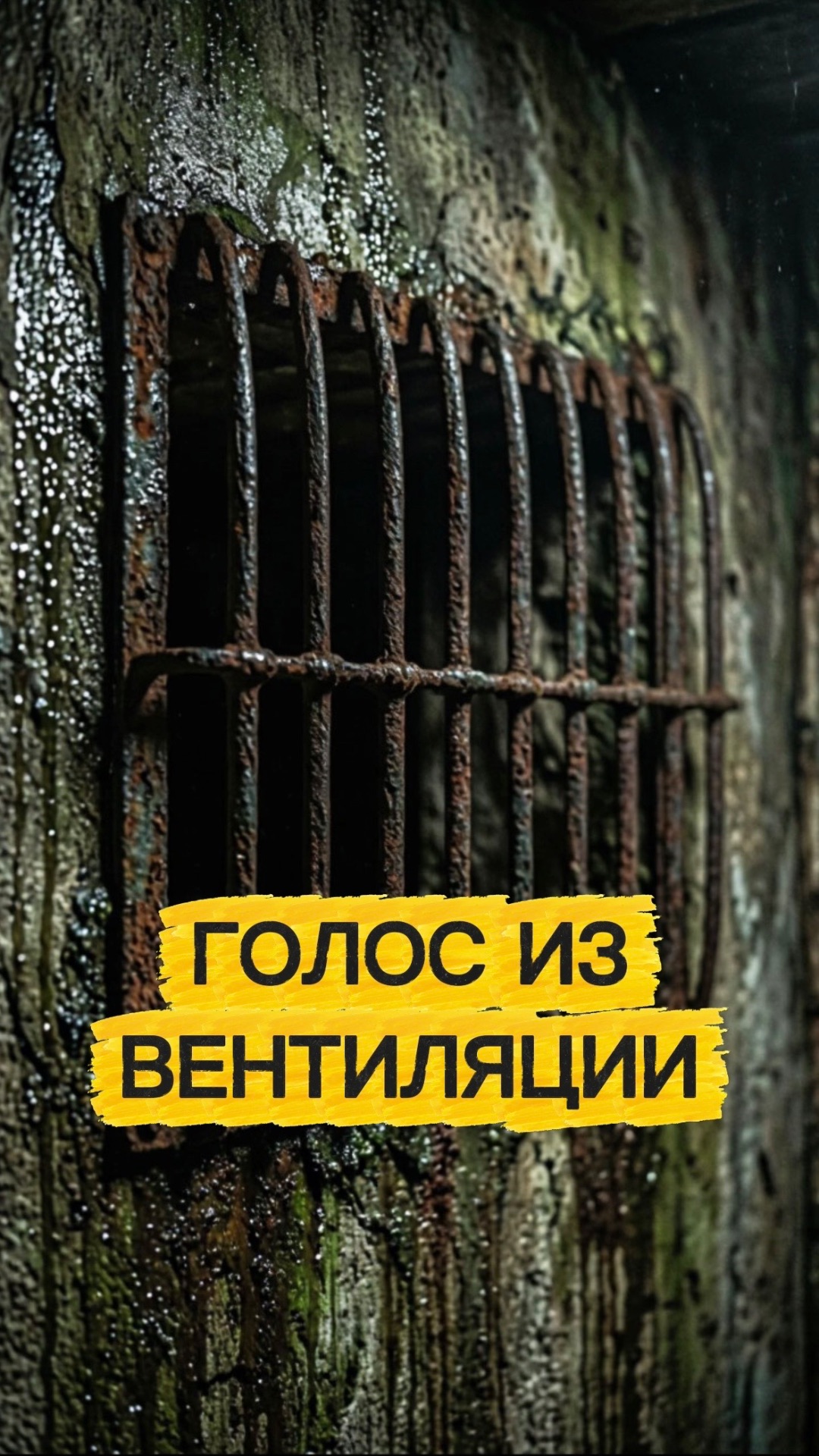 НЕ ОТВЕЧАЙ НА ЕГО ГОЛОС кот кошка котики животные ужасы страшно ужастик