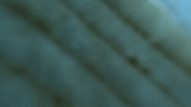 1000472401.mp4