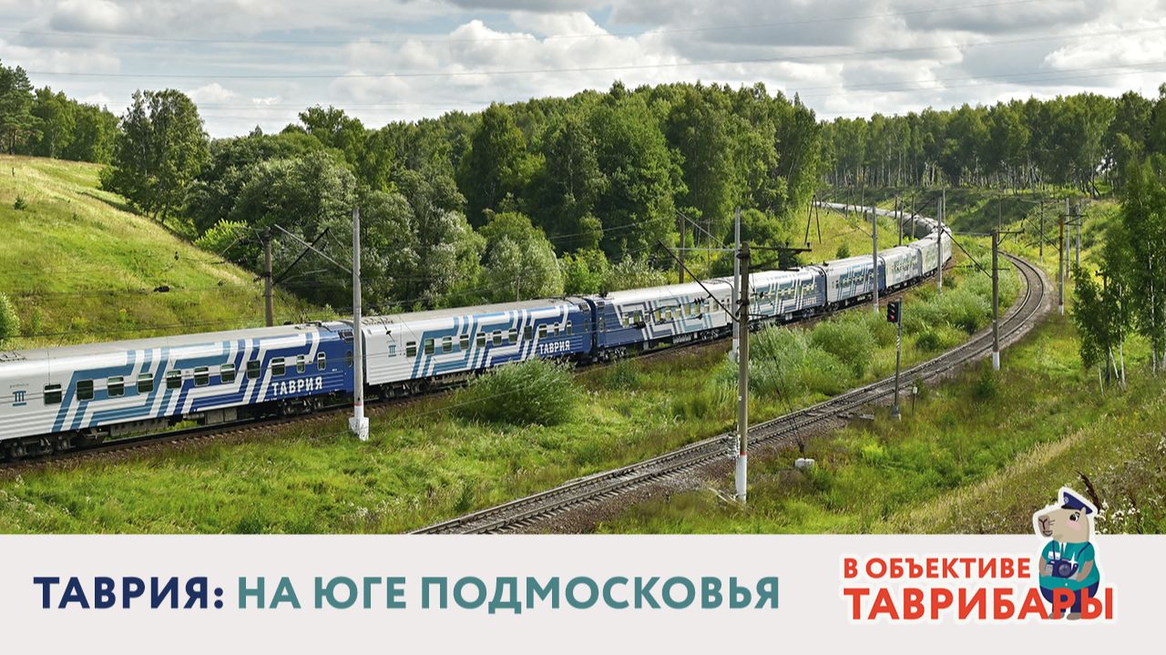 Без монтажа. Поезд 198 Адлер  Москва на юге Подмосковья