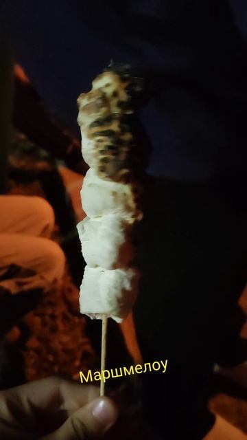 YouCut_20260825_141536758.mp4