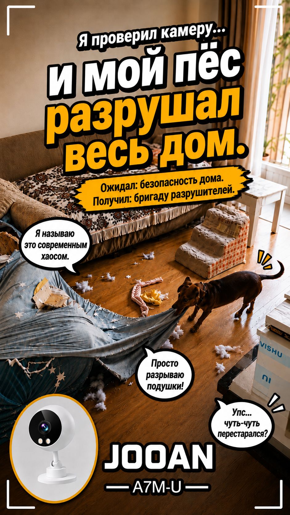 Я проверил камеру а мой пёс как раз устраивал дома настоящий разгром. 
