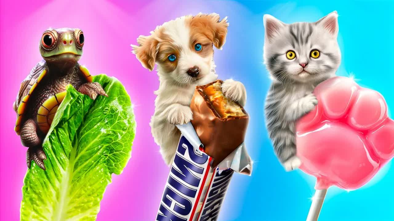 Я Vs животные! Кулинарный челлендж!