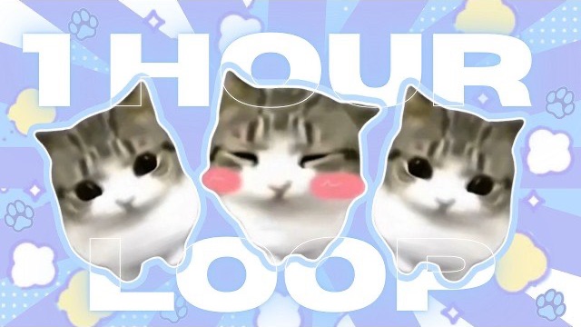 Dam Dam Didi Dam-1 час хорошего котика