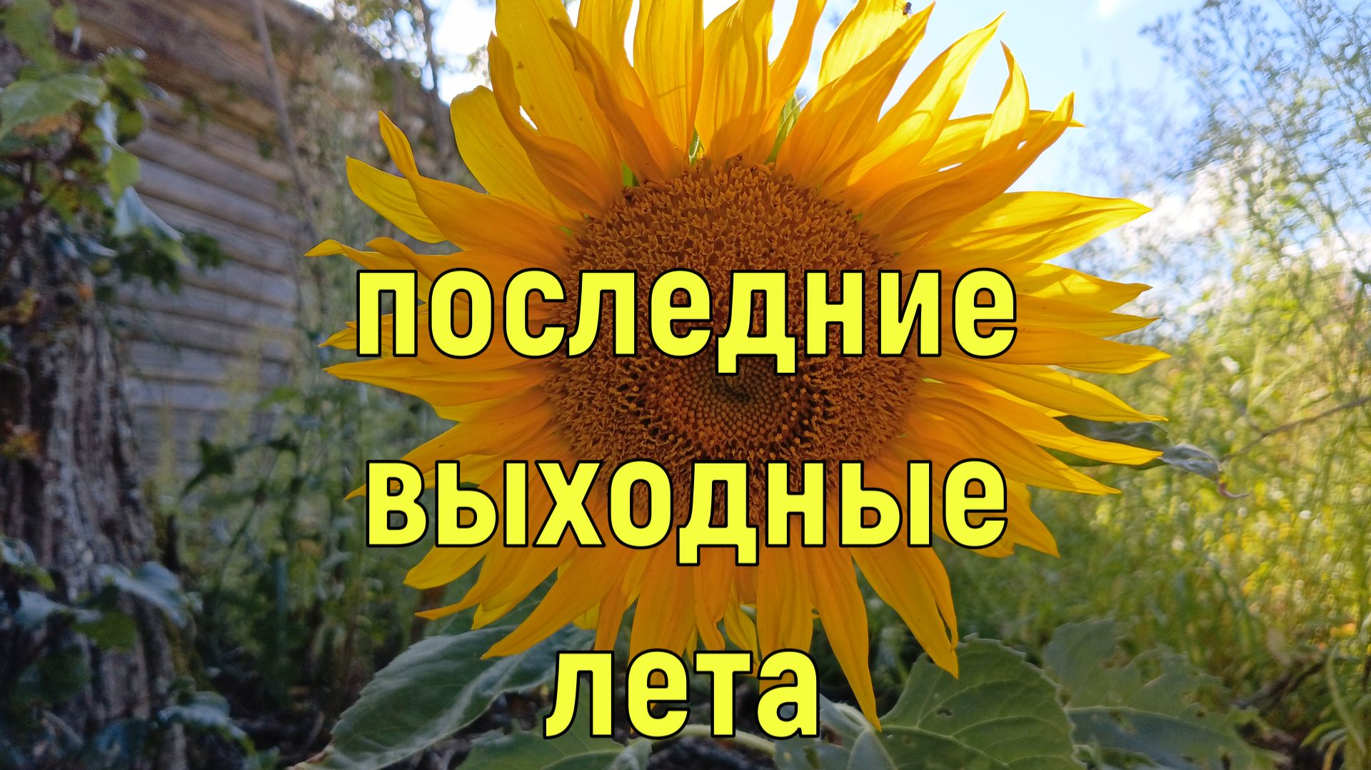 14. Последние выходные в деревне летом Пора Домой