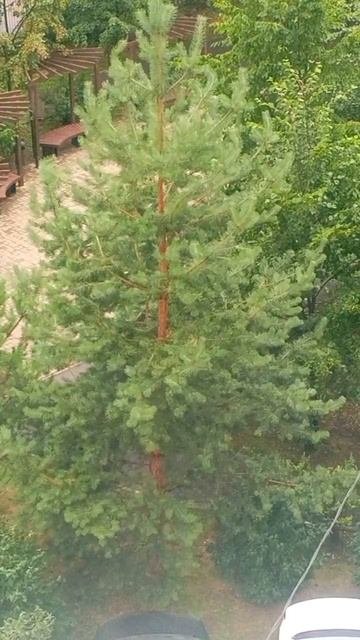 релакс