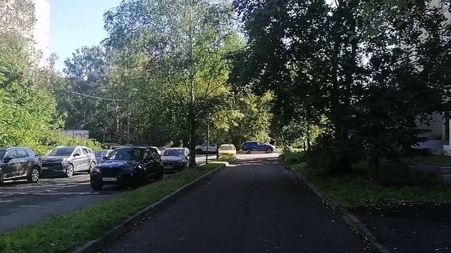 Август Царское село 22