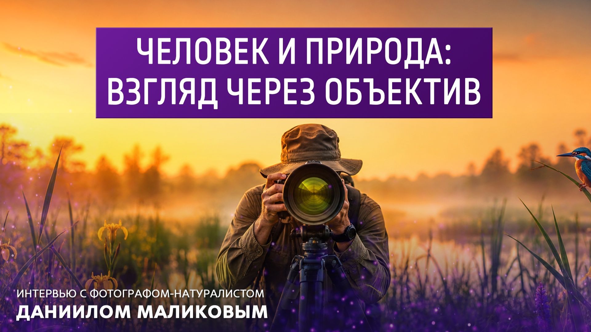 Человек и природа: взгляд через объектив. Интервью с фотографом-натуралистом Даниилом Маликовым