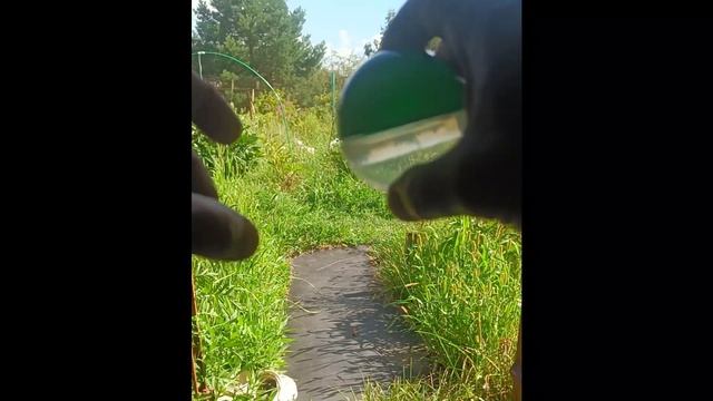 Держим в руках черную дыру и смотрим внутрь
