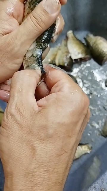 Рыба